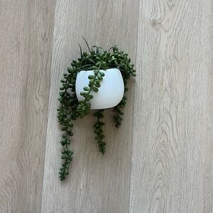 Faux Potted String of Pearls Succulent
